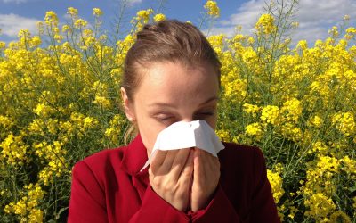 Alergias en primavera, información y recomendaciones