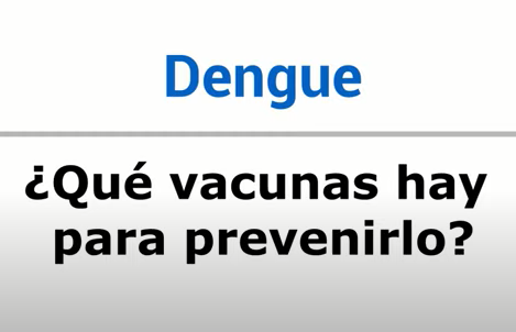Vacunas contra el dengue: Dra. Silvia Ayala – Infectóloga